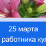 Спасибо тем, кто создает душу города! - ТК ТОЛЬЯТТИ 24