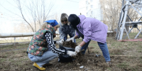 Самарцы вывезли более 300 тонн мусора после субботников 4 апреля - НеСлухи.РФ