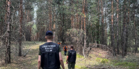 Обнаружена 3-летняя девочка, пропавшая накануне в Самарской области - TLT.Ru
