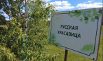 Куда сходить в Тольятти: Дендропарк